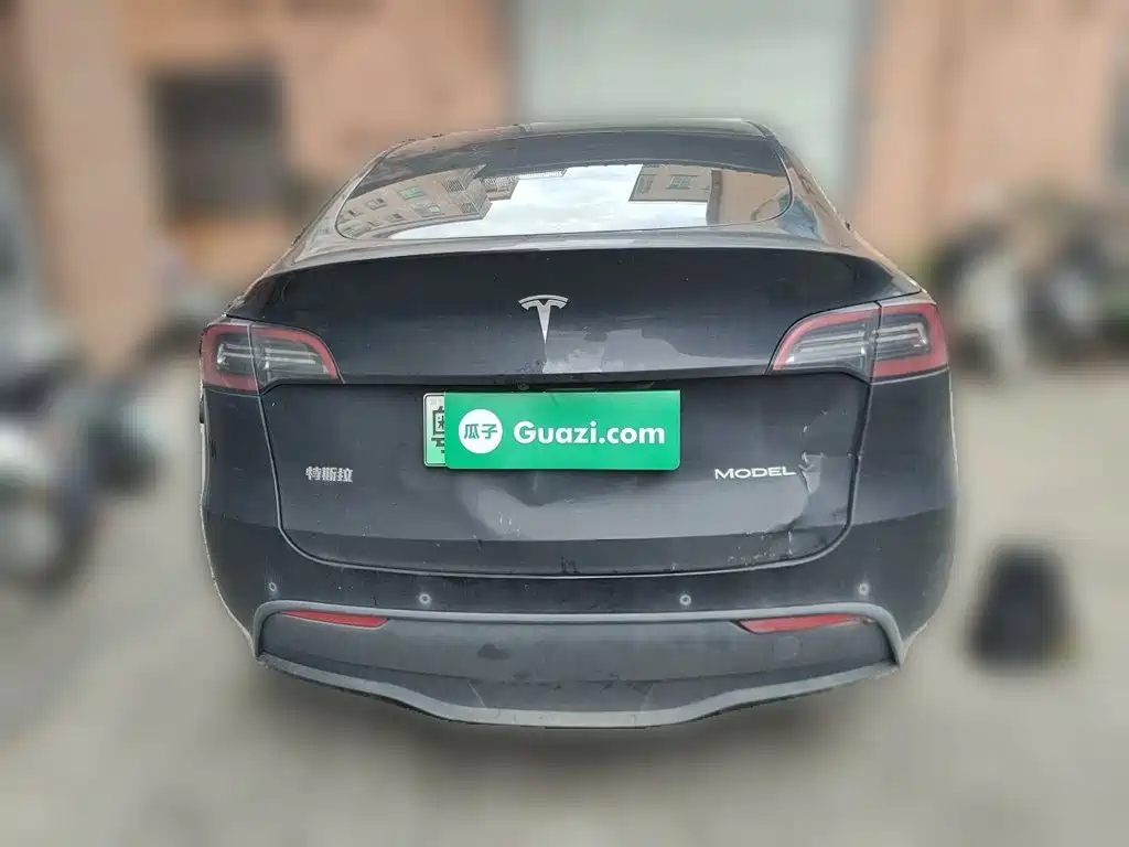 Tesla Model Y — миниатюра 3