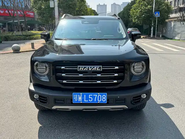 HAVAL BIG DOG
