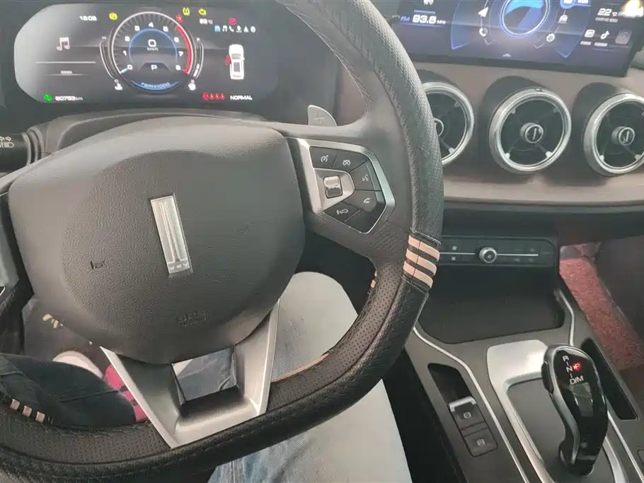 WEI PAI WEI BRAND VV5