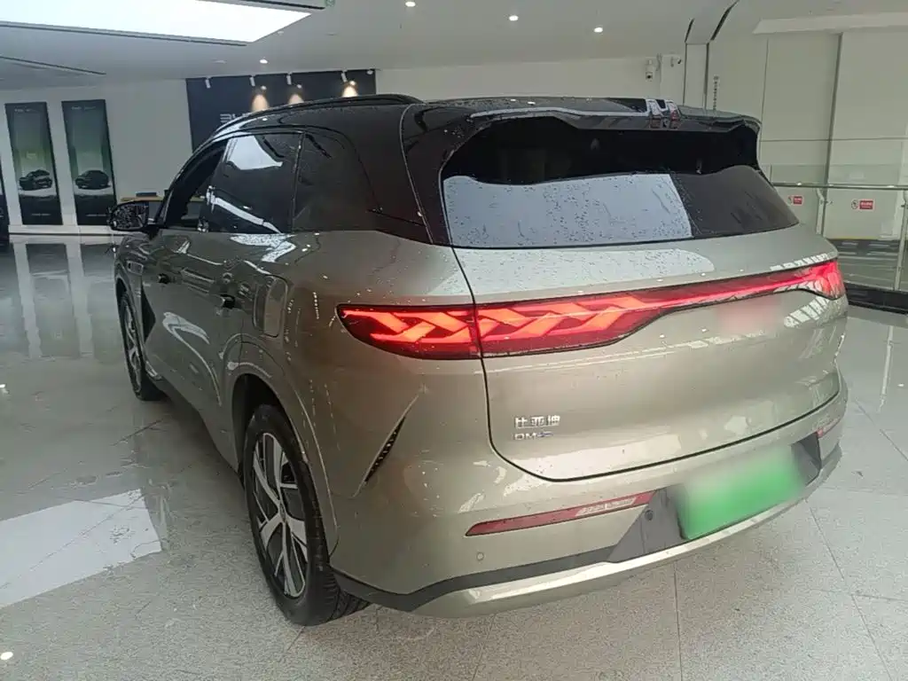 BYD Дон Л. — миниатюра 23