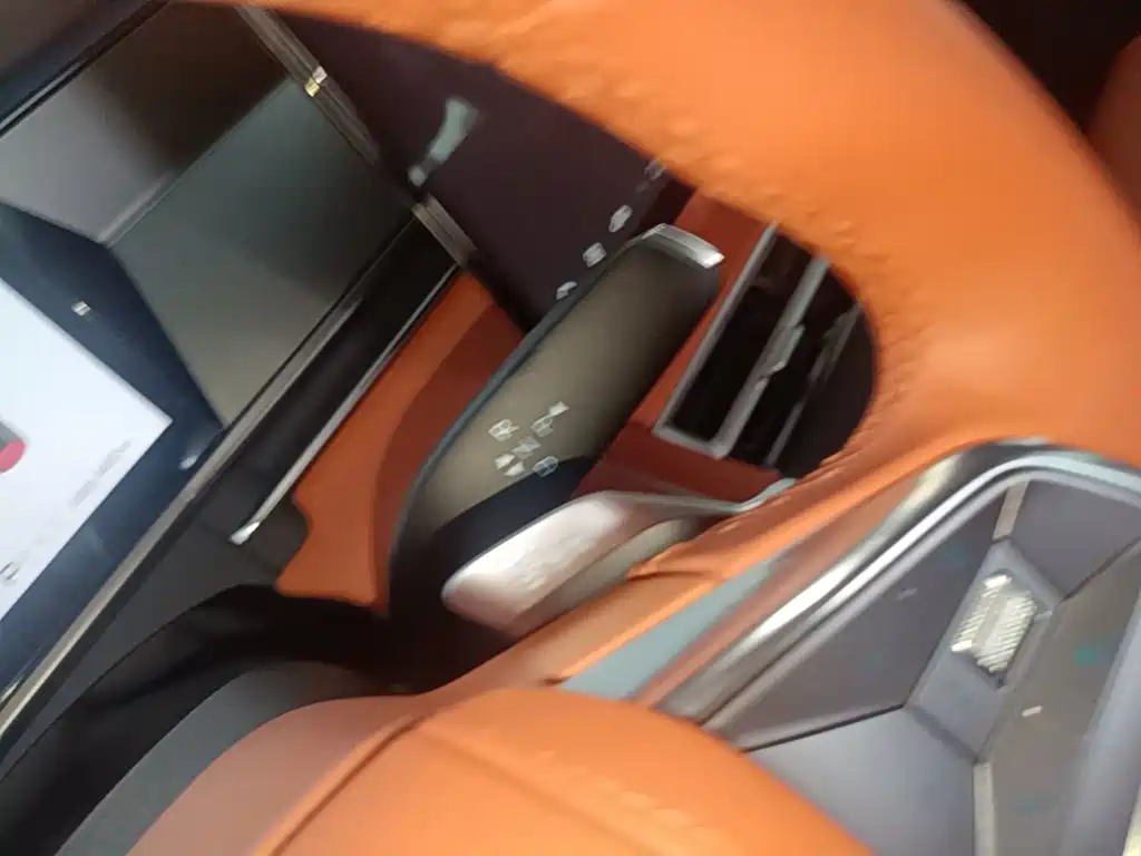 BYD Дон Л. — миниатюра 10