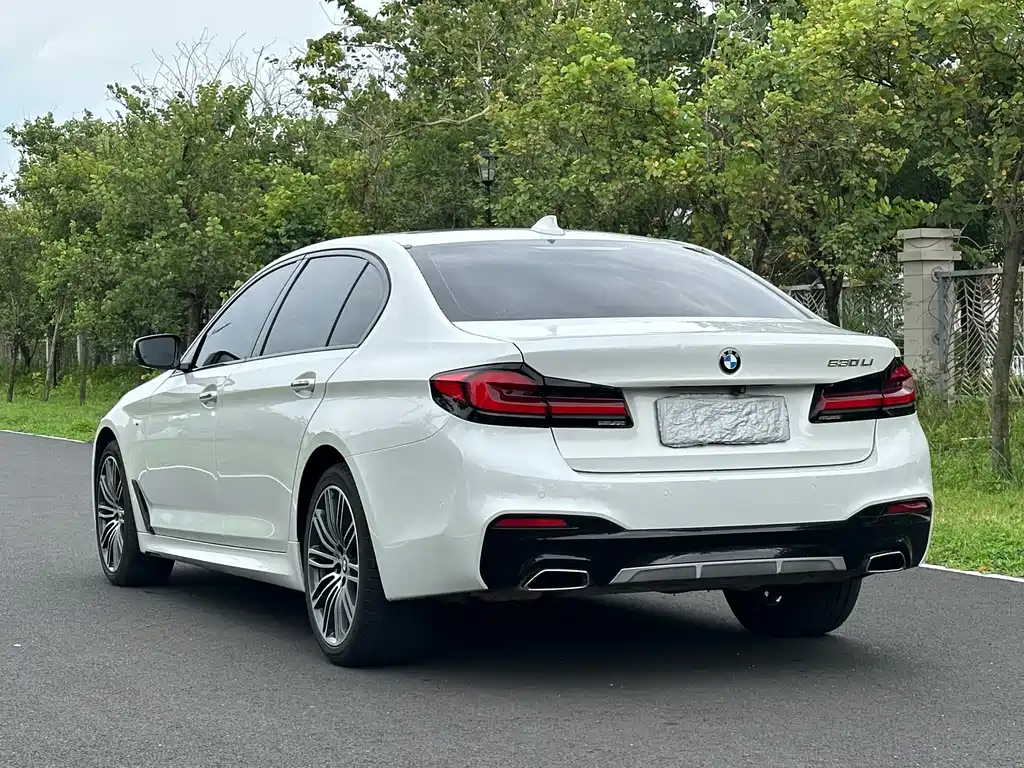 BMW 5 Series — миниатюра 4