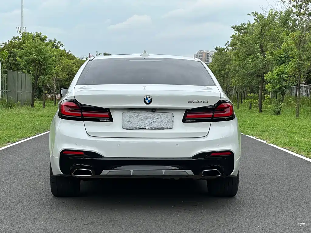 BMW 5 Series — миниатюра 5