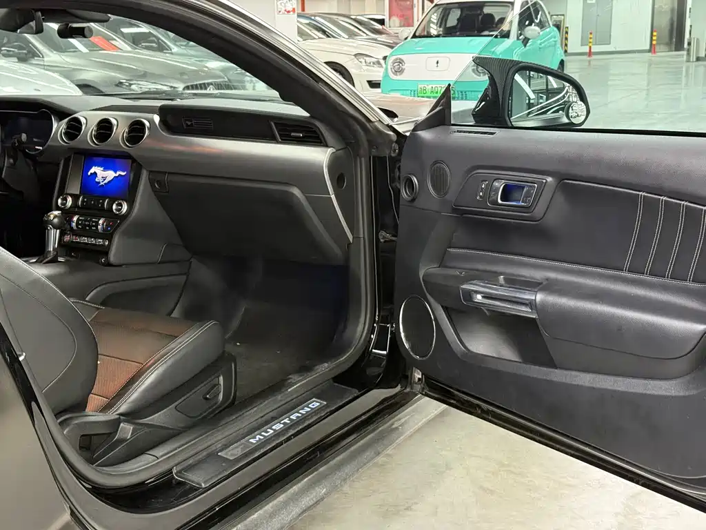 Ford Mustang — миниатюра 13