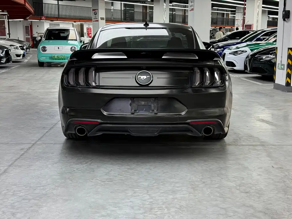 Ford Mustang — миниатюра 18