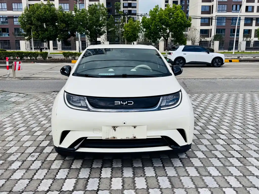 BYD Dolphin — миниатюра 3