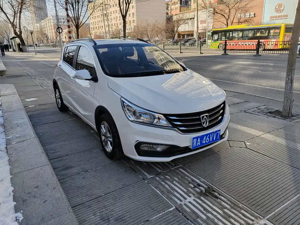 BAOJUN 310