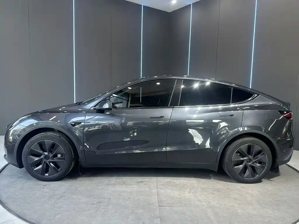 Tesla Model Y — миниатюра 4