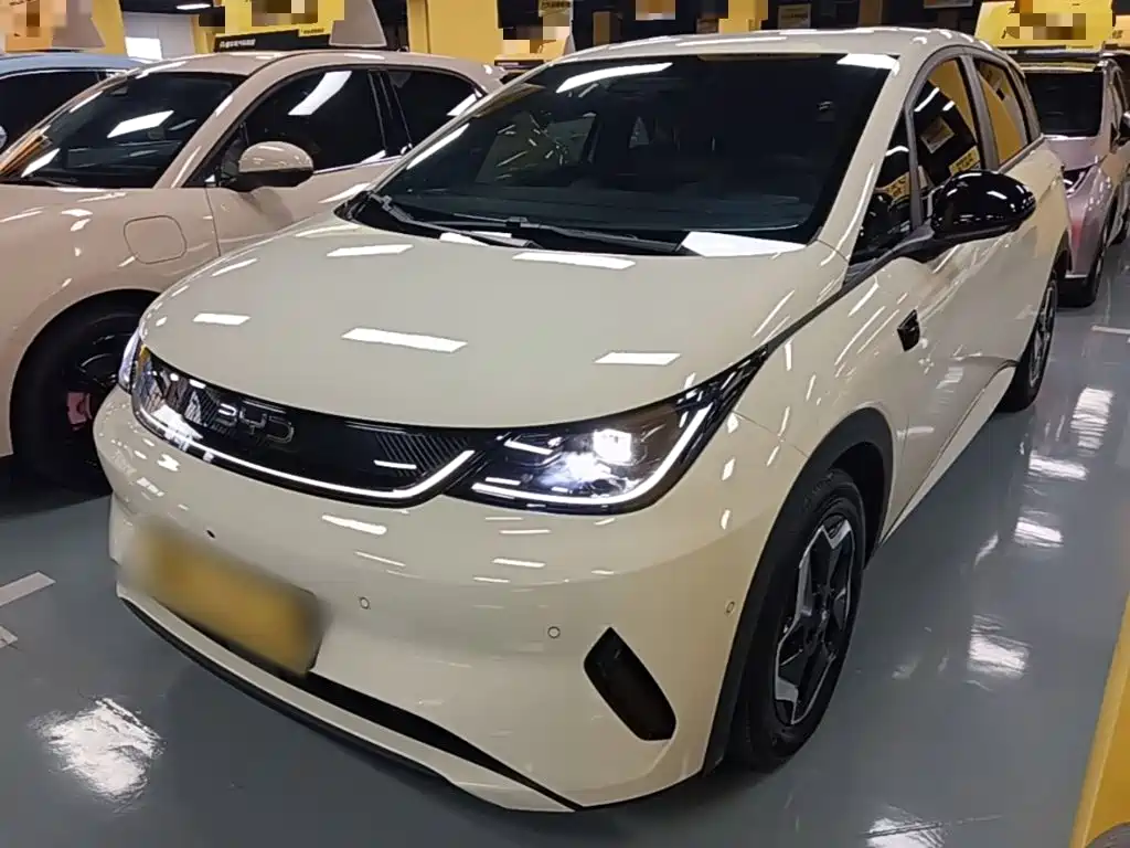 BYD Dolphin 2025 Smart Drive 420km Freedom