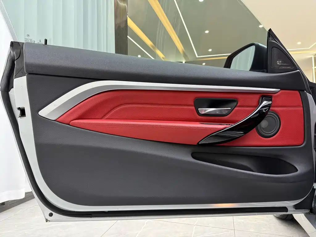 ALPINA ALPINA B4 — миниатюра 3