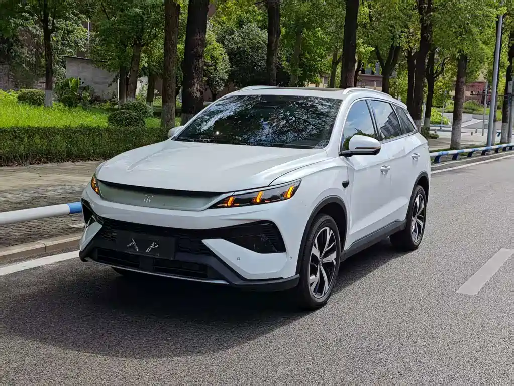 BYD Pro New Energy