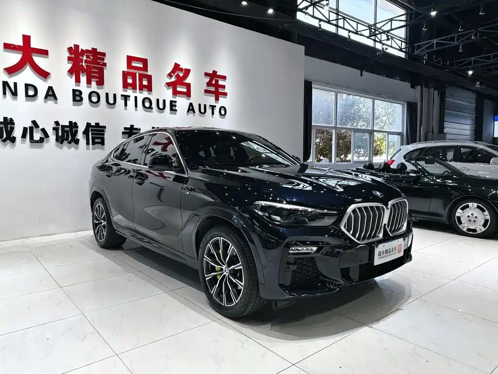 BMW X6 — миниатюра 2