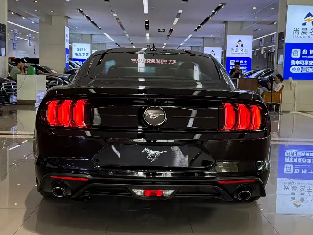 Ford Mustang — миниатюра 18