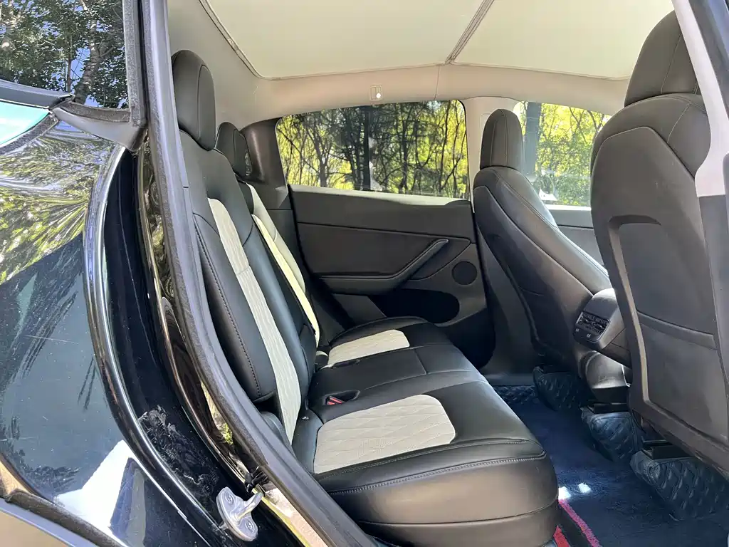 Tesla Model Y — миниатюра 10