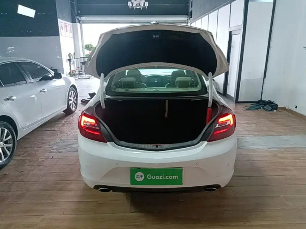 Buick Regal — миниатюра 19