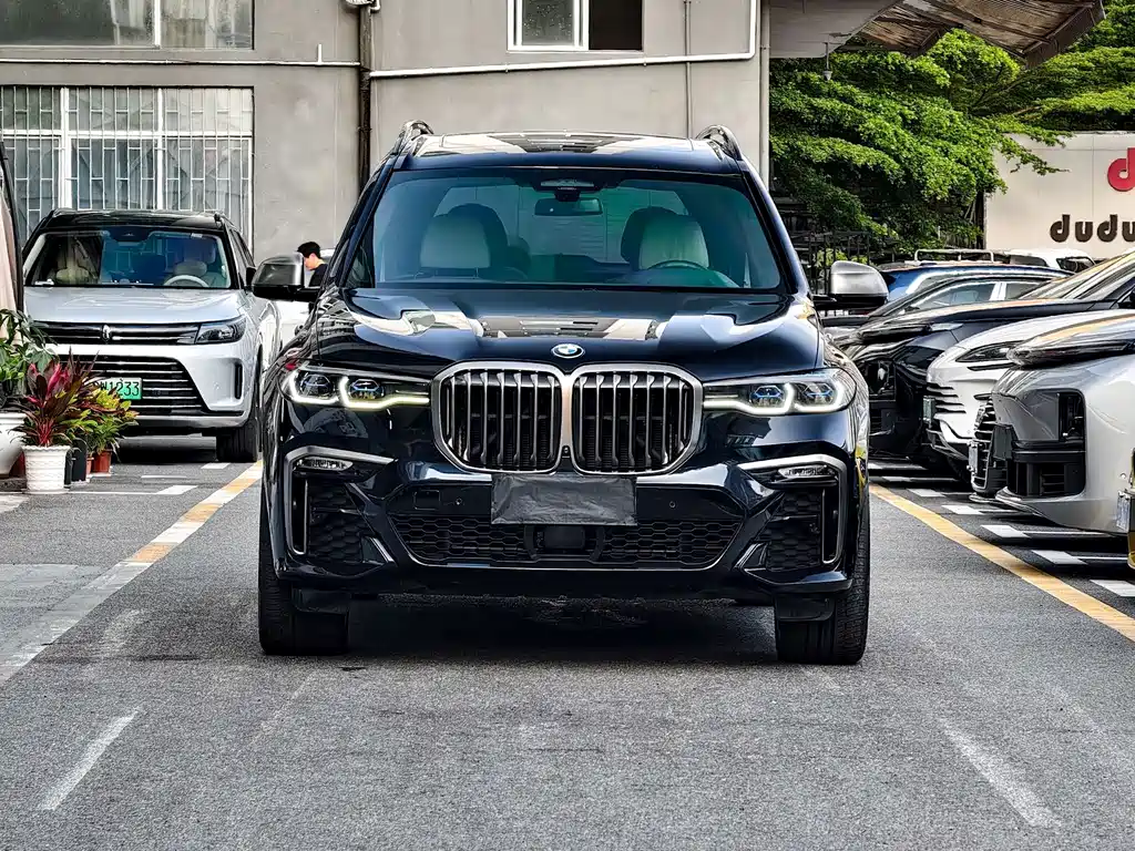 BMW X7 — миниатюра 2