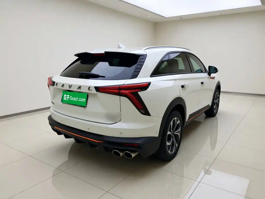 Haval Shenshou — миниатюра 6