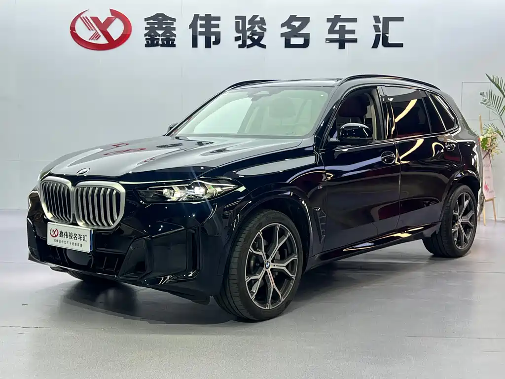 BMW X5 — миниатюра 2