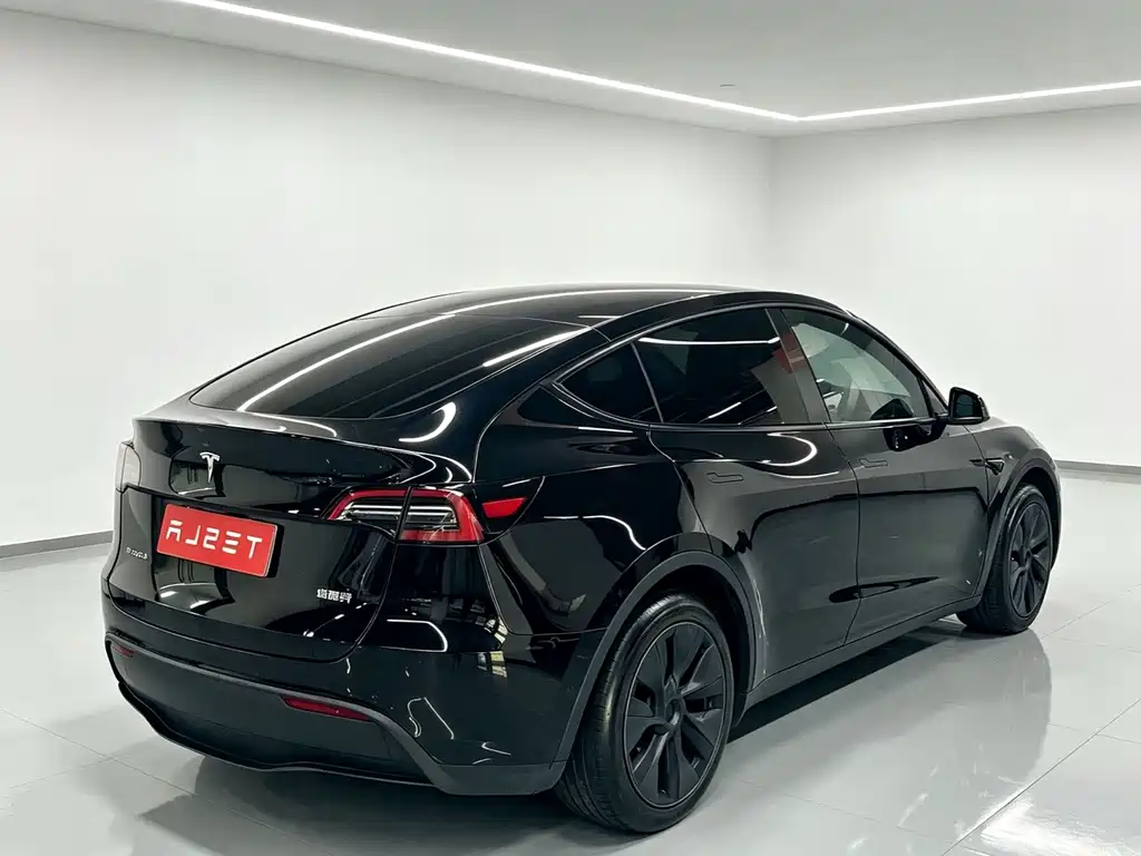 Tesla Model Y — миниатюра 7