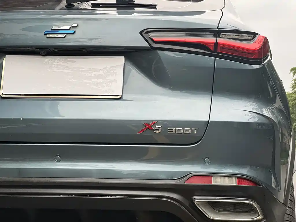 Oshan Oushang X5 — миниатюра 12