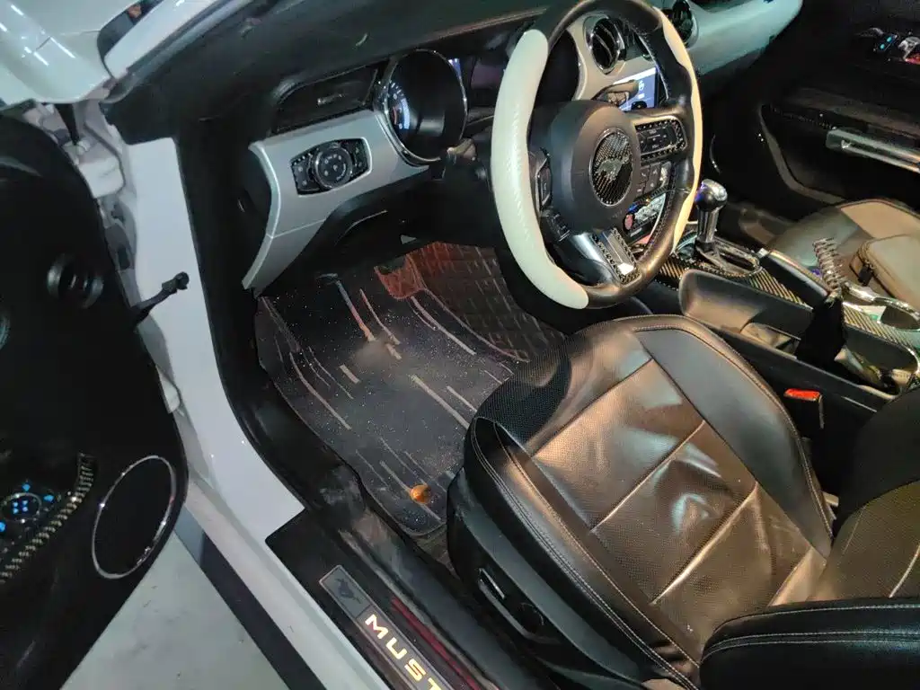 Ford Mustang — миниатюра 17