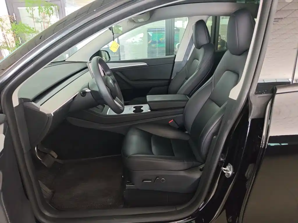 Tesla Model Y — миниатюра 15