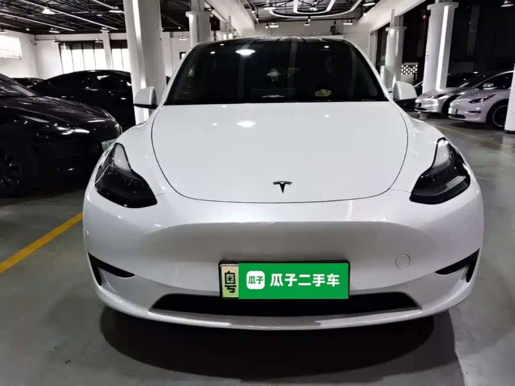 Tesla Model Y — миниатюра 3