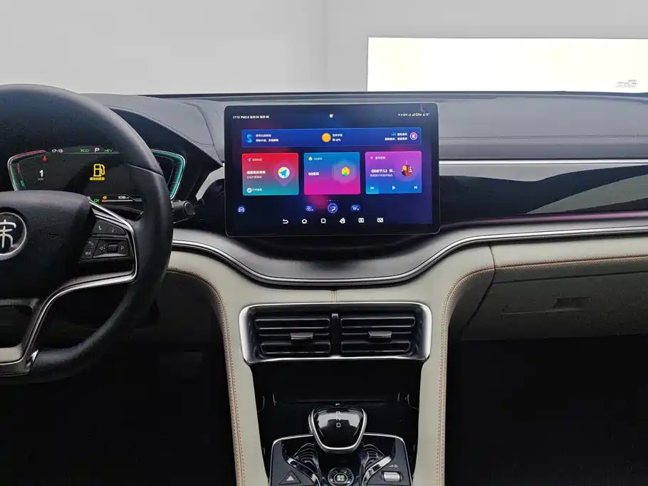 BYD PLUS New Energy — миниатюра 13