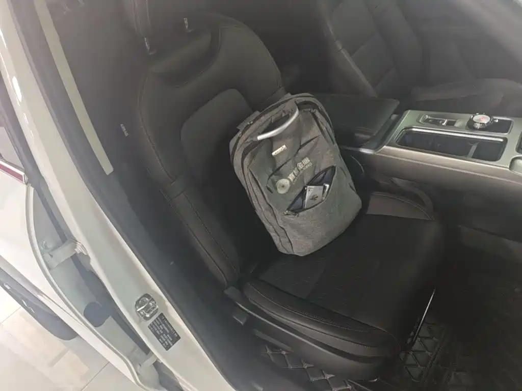 Haval Big Dog — миниатюра 25