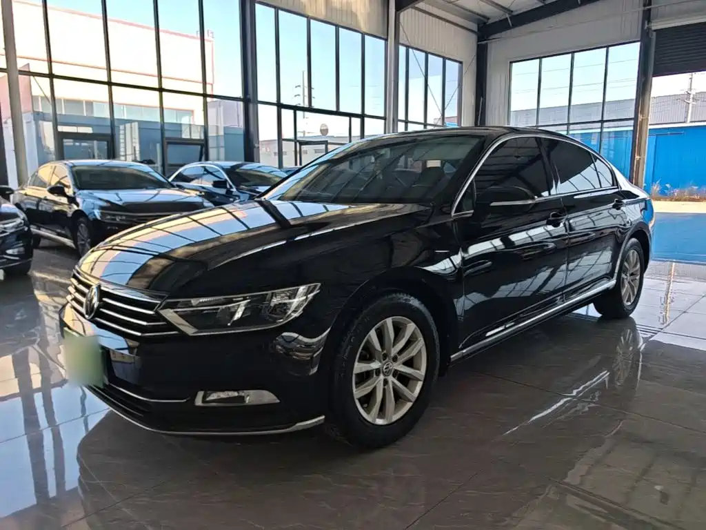 Volkswagen Magotan — миниатюра 2
