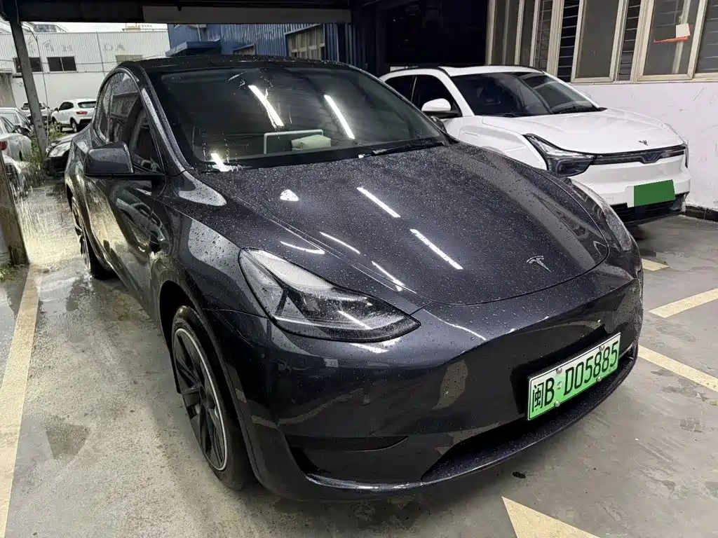 Tesla Model Y — миниатюра 3