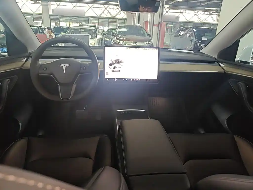 Tesla Model Y — миниатюра 10