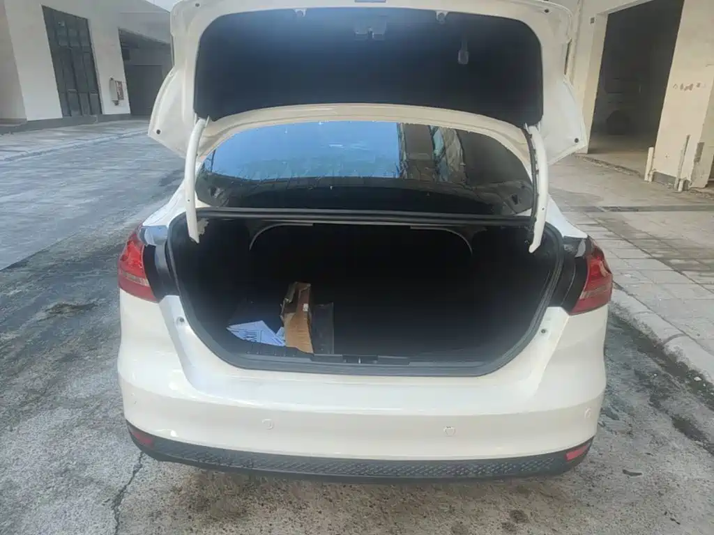 Ford Focus — миниатюра 19