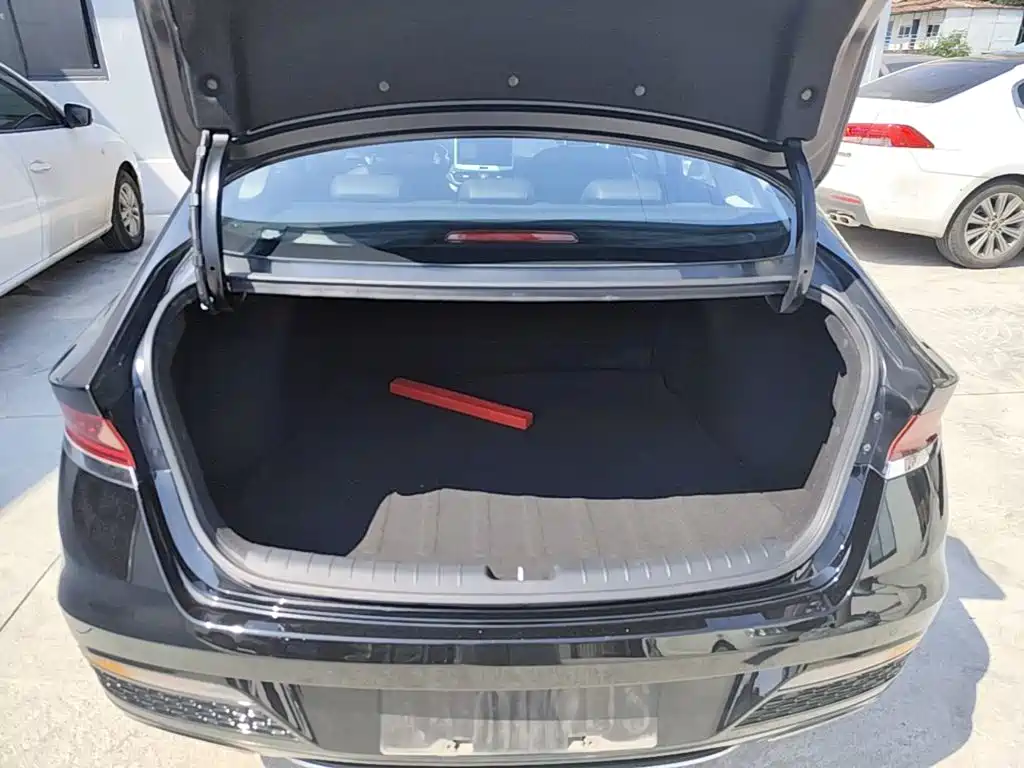 Hyundai Fista — миниатюра 19