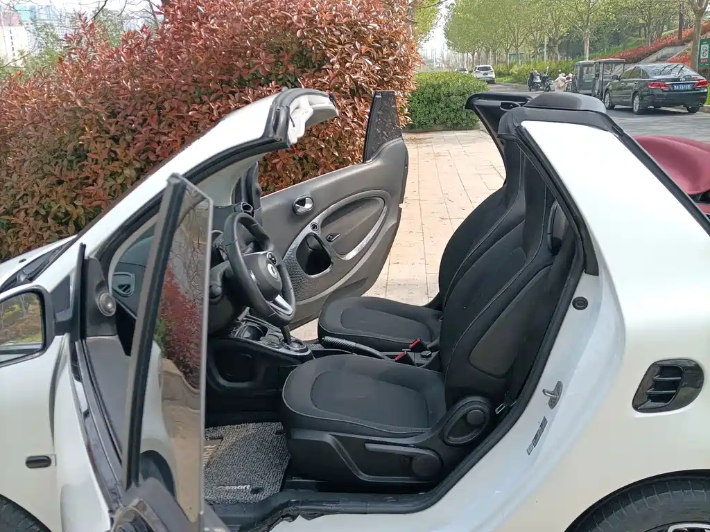 smart Smart Fortwo — миниатюра 14