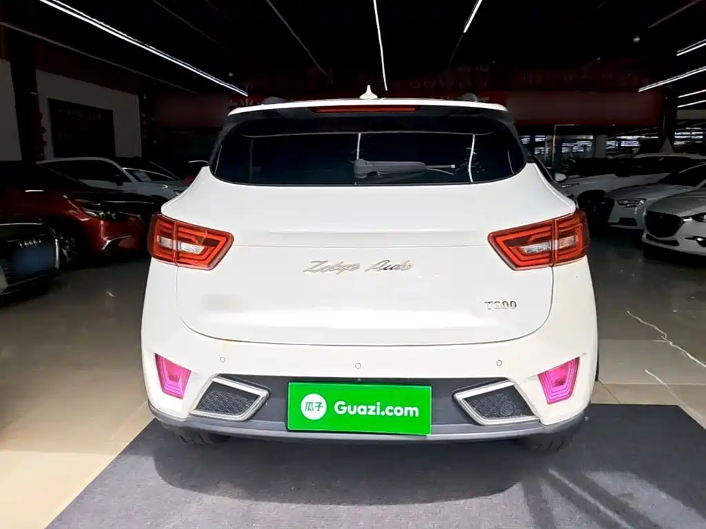 Zotye Zotye T300 — миниатюра 6