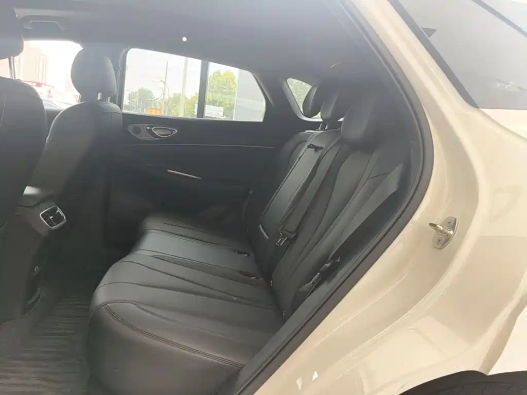 BYD Haisi 06 — миниатюра 17
