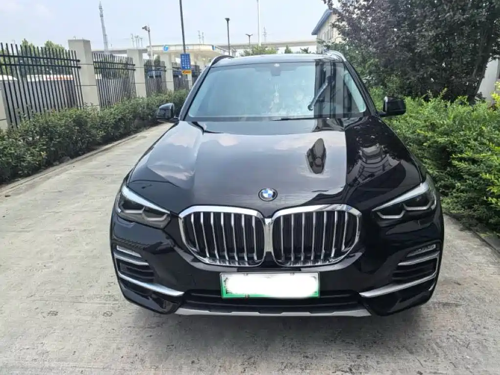 BMW X5 New Energy (Import) — миниатюра 2