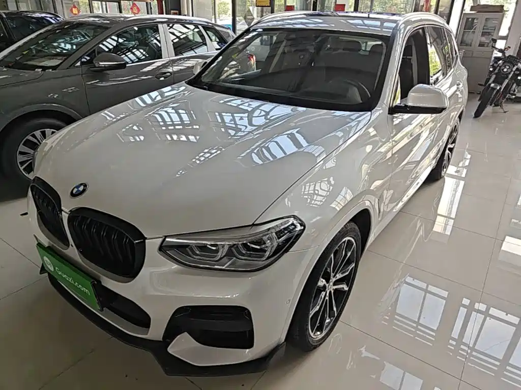 BMW X3 — миниатюра 2