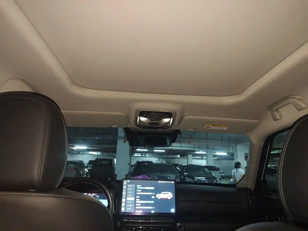 Haval Big Dog PLUS New Energy — миниатюра 12
