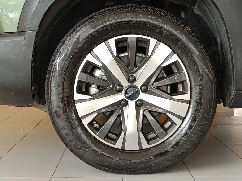 Haval Big Dog — миниатюра 7