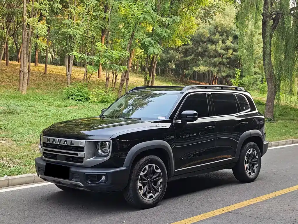Haval Big Dog