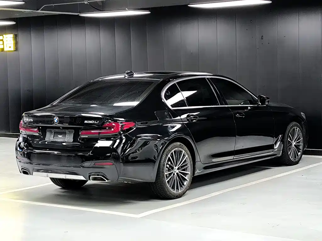 BMW 5 Series — миниатюра 17