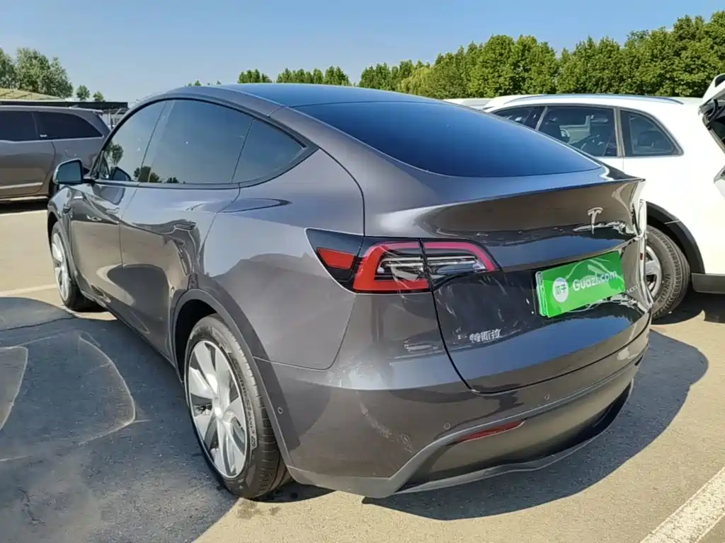 Tesla Model Y — миниатюра 5