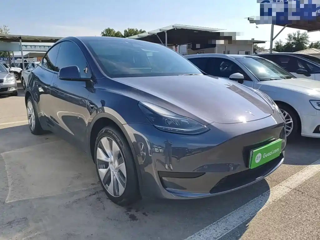 Tesla Model Y — миниатюра 4