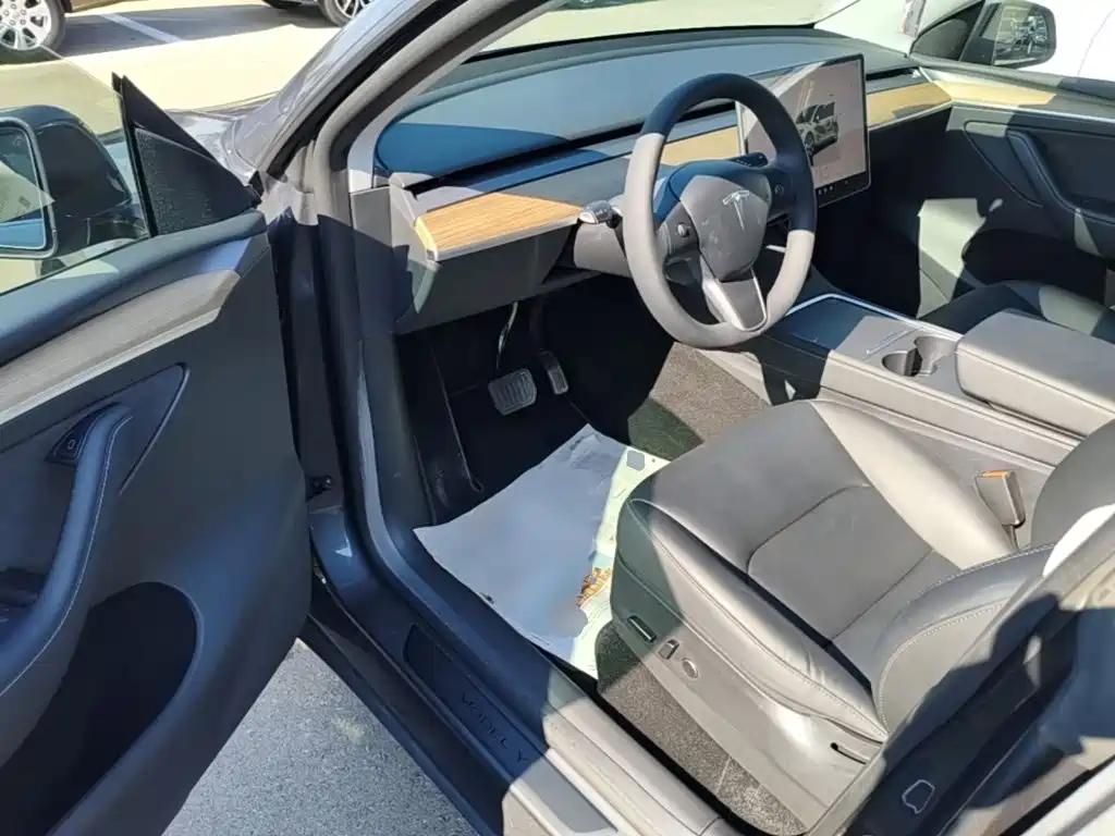 Tesla Model Y — миниатюра 16