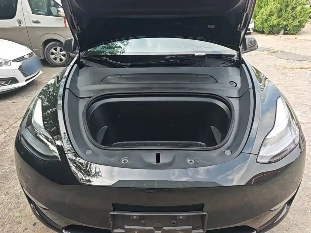 Tesla Model Y — миниатюра 20