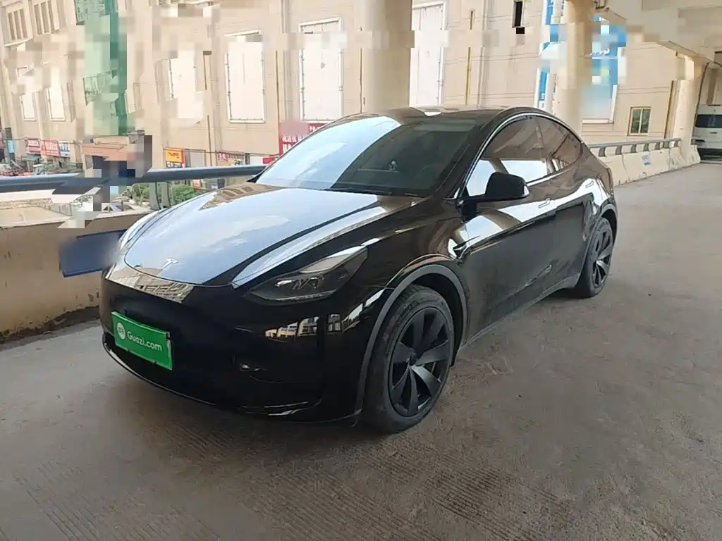 Tesla Model Y — миниатюра 2