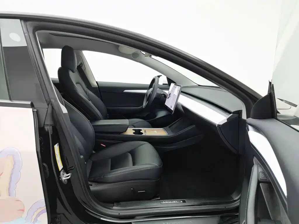 Tesla Model 3 — миниатюра 23