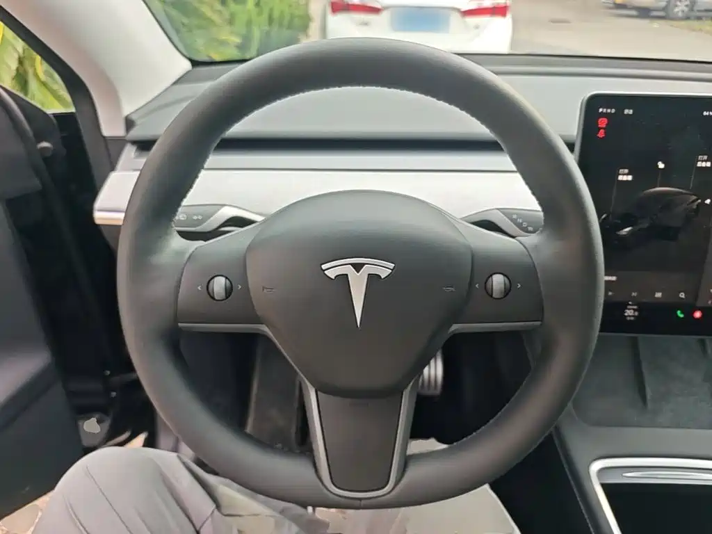 Tesla Model Y — миниатюра 11